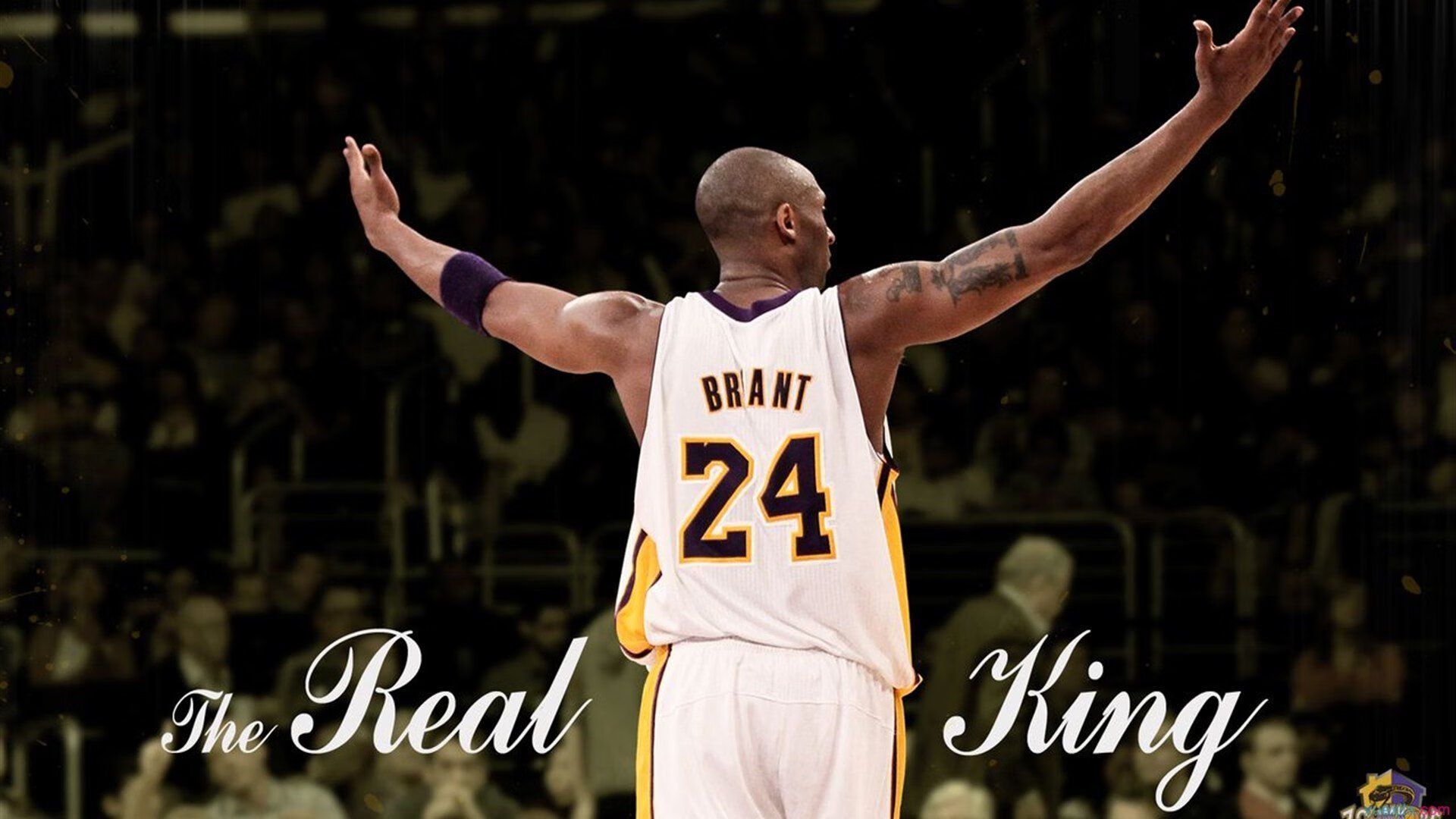 九游体育娱乐-电竞城市举办大型电竞嘉年华活动，电竞嘉年华策划方案